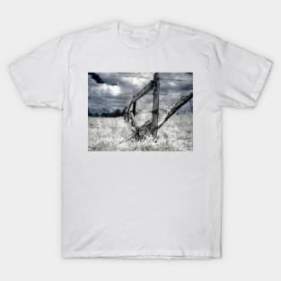 Barbed-wire Fence T-Shirt